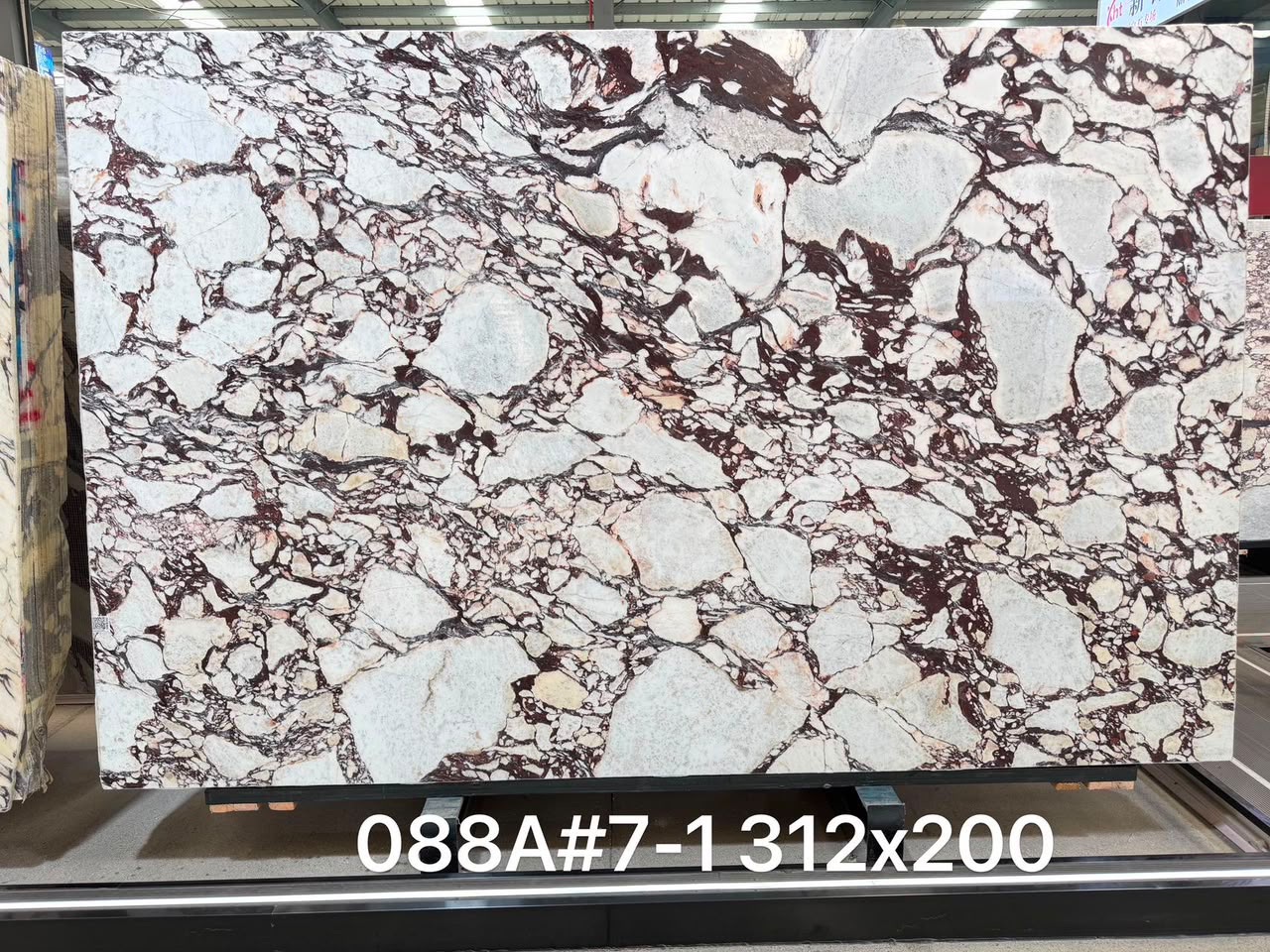Italian Calacatta Viola marble slab with a creamy white ground and dramatic deep burgundy breccia veining