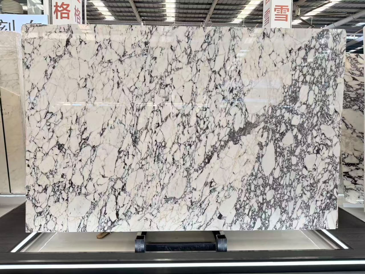 Turkish Calacatta Viola marble slab with a bright white base and fine black to charcoal breccia veining