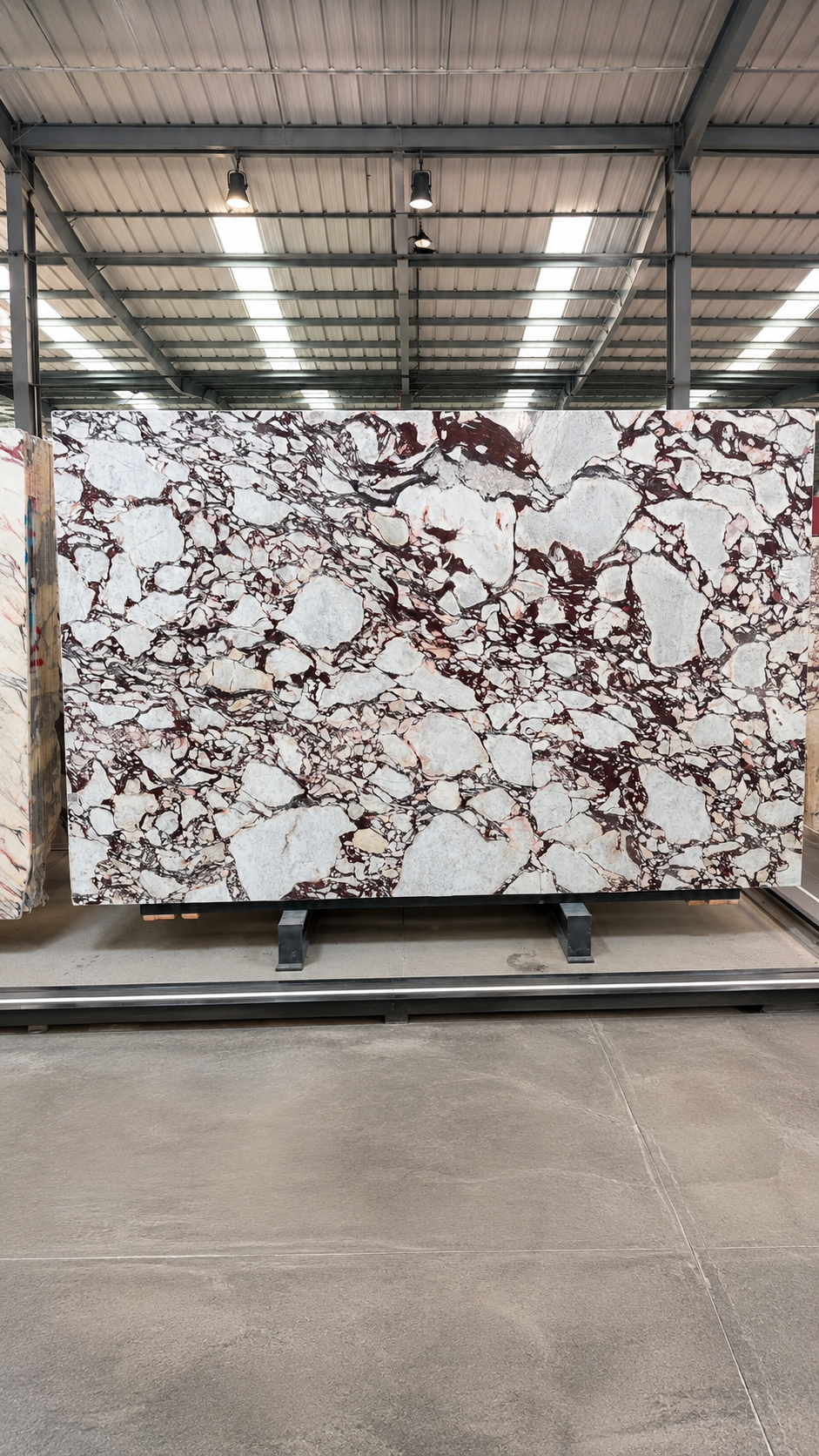 Premium Calacatta Viola marble full slab with bold burgundy breccia pattern in a stone warehouse