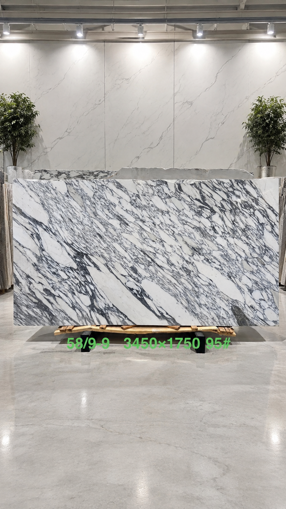 Large Arabescato Italian marble slab with a white ground and expressive dark grey arabesque veining